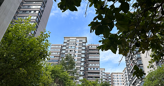 by39777.com最新域名查询