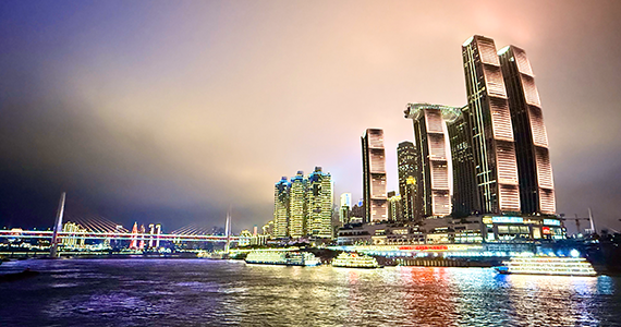 域名查询：掌握互联网的地址簿